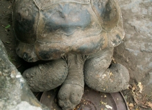 Imagen Eco Zoológico San Martín